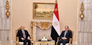 العليمي والسيسي يبحثان تطورات الوضع اليمني والأوضاع الإقليمية