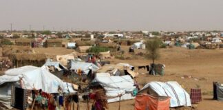 الهجرة الدولية: ارتفاع عدد النازحين داخل اليمن إلى 20 ألف شخص