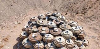 مشروع مسام يواصل جهوده: 115 لغماً حوثياًوعبوة ناسفة تمت إزالتها