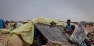 السودان.. البرد والجوع يقتلان الأطفال وكبار السن والحوامل في دارفور