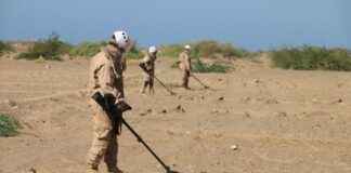 مأساة زراعة الألغام في اليمن.. كارثة إنسانية تهدد حياة ومستقبل الملايين