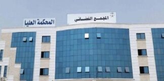 مجلس القيادة الرئاسي يوجه بالتحقيق في أكثر من 20 قضية فساد ونهب منظم للمال العام