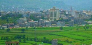 مقتل عنصرين حوثيين ومواطن في إب وسط تصاعد الفوضى الأمنية