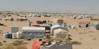 الهجرة الدولية توثيق نزوح 29 أسرة يمنية خلال أسبوع وعودة 101 أسرة إلى مناطقهم الأصلية