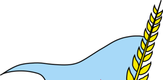 الحزب الاشتراكي اليمني يدين مجزرة غزة ويؤكد: ما يجري إبادة شعب تحت غطاء دولي