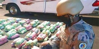 السعودية تحبط تهريب أكثر من نصف طن من القات عبر الحدود مع اليمن