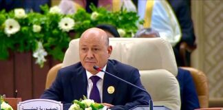 العليمي: مواجهة التوسع الإيراني وحل القضية الفلسطينية يتطلبان تحركًا استراتيجيًا جماعيًا