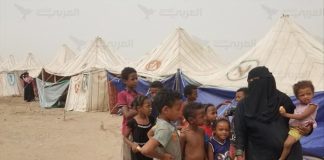 “الهجرة الدولية”: مشروع لتوفير المياه النظيفة لـ118 ألف شخص في مأرب بينهم نازحو الجفينة