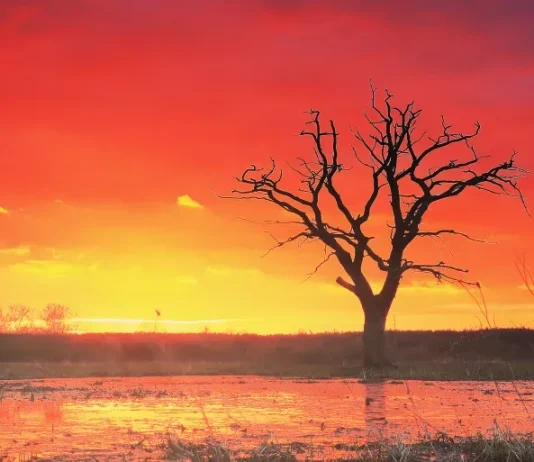 موجة حر شديدة تضرب حضرموت وعدد من المناطق وتحذيرات من انخفاض الرؤية وتدهور الأجواء