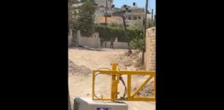 قوات الاحتلال تطلق النار على وفد دبلوماسي في جنين وسط إدانات دولية واسعة