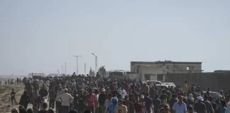 فوضى وتدافع في رفح خلال توزيع مساعدات بإشراف أميركي والجيش الإسرائيلي يتدخل