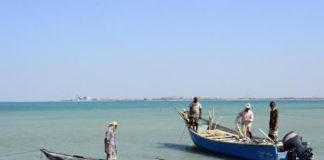 السلطات الإريترية تفرج عن 53 صيادًا يمنيًا احتجزتهم في ظروف قاسية