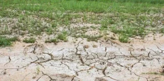 الأمم المتحدة: تدهور الأراضي الزراعية في اليمن يهدد الأمن الغذائي و97% منها مهددة بالتصحر