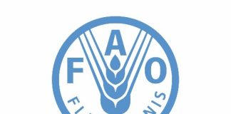 تحسّن محدود في الأجواء الزراعية باليمن وسط تحذيرات من موجات حر وعواصف غبارية