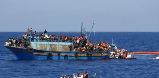 ضبط 120 مهاجراً إثيوبياً وصلوا سواحل رضوم بشبوة وسط تصاعد الهجرة غير النظامية