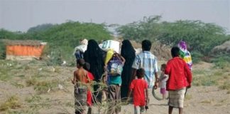 الهجرة الدولية: نزوح 1808 أُسر يمنية منذ مطلع العام الجاري