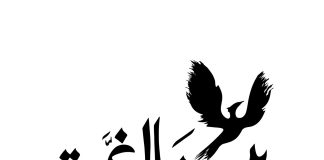 “بينالي غزة” يفتتح جناحه الأول في نيويورك