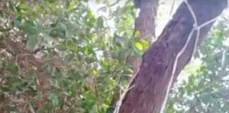 جريمة ابتزاز مروعة: فتاة بالحديدة تنهي حياتها ورسالتها تكشف المتهم الحوثي وتفجر غضب الأهالي