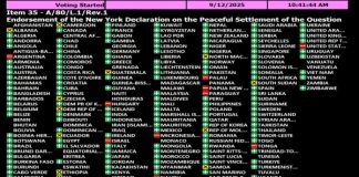 الجمعية العامة للأمم المتحدة تعتمد “إعلان نيويورك” بشأن فلسطين وسط دعم دولي واسع