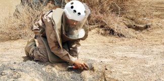 “مسام” ينزع أكثر من ألف لغم وذخيرة غير منفجرة خلال أسبوع في اليمن