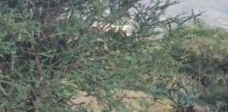 حملة حوثية لاختطاف مواطنين في إب بعد رفضهم مشروع كسارة مثير للجدل