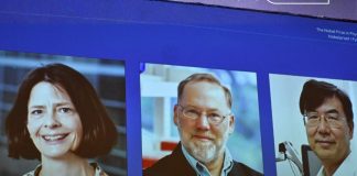 عاجل /العالمة ماري برونكو والعالمان فريد رامسديل وشيمون ساكاجوتشي يفوزون بجائزة نوبل في الطب لعام 2025