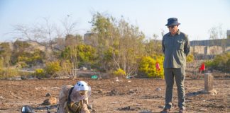 “مسام” ينزع أكثر من ألفي مادة متفجرة ويؤمّن نصف مليون متر مربع من الأراضي خلال أكتوبر الجاري