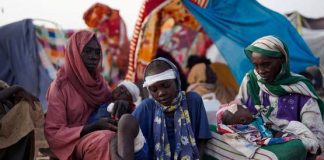 إعدامات واعتقالات تعسفية”.. مجلس الأمن يدين هجوم “الدعم السريع” على الفاشر