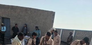 حملة أمنية بالصبيحة تحبط تهريب أكثر من مليون حبة “بريجابالين” كانت في طريقها إلى عدن