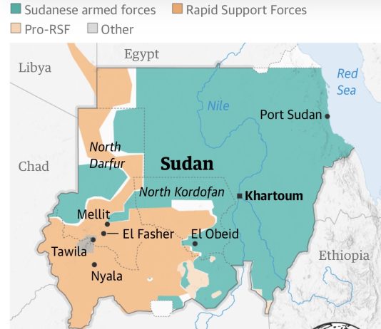 هل الإمارات مستعدة للتخلي عن قوات الدعم السريع؟!