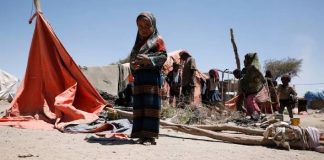 الأمم المتحدة تحذر من تفاقم الأزمة الإنسانية في اليمن وتطالب بتحرك دولي عاجل