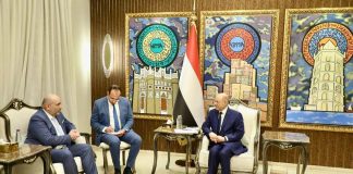العليمي يؤكد لنائب رئيس البرلمان الألماني أن السلام في اليمن مرهون بردع المليشيات
