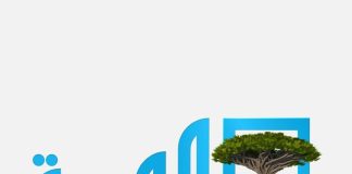 نقابة الصحفيين تستنكر إيقاف نشاط قناة المهرية في شبوة وتؤكد حماية حرية الإعلام