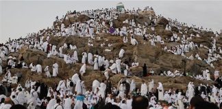 حجاج اليمن يؤدون الوقوف بعرفة وسط أجواء إيمانية وتنظيم ميداني متكامل