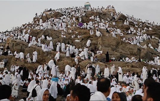 حجاج اليمن يؤدون الوقوف بعرفة وسط أجواء إيمانية وتنظيم ميداني متكامل