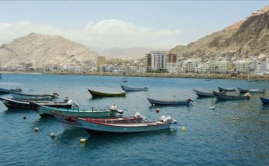 حماية للمخزون السمكي.. قرار وزاري بإيقاف اصطياد “الشروخ الصخري” في حضرموت والمهرة