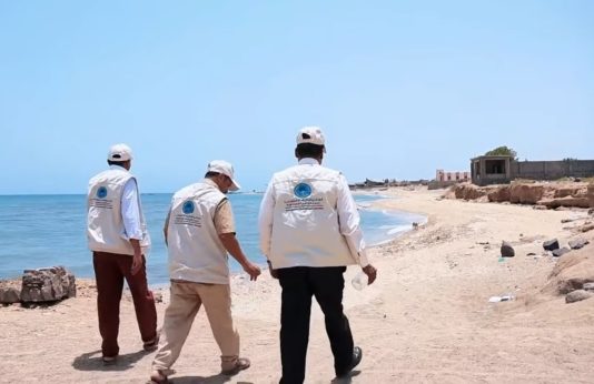فريق حكومي يجري مسحًا لتقييم الأضرار البيئية الناجمة عن غرق السفينة “روبيمار” في البحر الأحمر