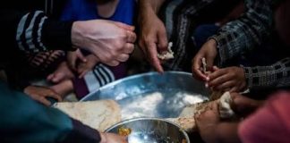 الأمم المتحدة: تصاعد خطير في الجوع باليمن وتحذيرات من انهيار إنساني مع نقص التمويل وتقييد الوصول