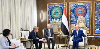 العليمي يبحث مع غروندبرغ جهود السلام ويؤكد أن أزمة الطيران مرتبطة بانتهاك السيادة