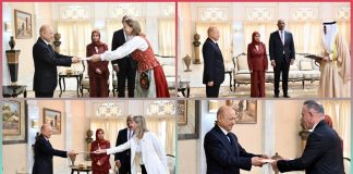 العليمي يتسلم أوراق اعتماد أربعة سفراء ويتهم الحوثيين بتنفيذ أجندة إقليمية