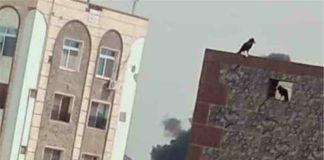 حريق مباغت يلتهم قارب صيد بالقرب من ميناء عدن