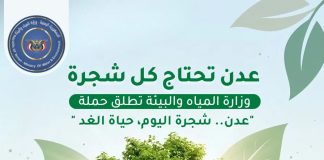 وزارة المياه والبيئة تطلق حملة توعوية للحفاظ على الأشجار في عدن
