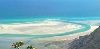 سقطرى.. سرُّ البحر