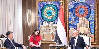 العليمي: استهداف ميناء المخا تصعيد ممنهج يستهدف مقدرات اليمن وأمن الملاحة الدولية