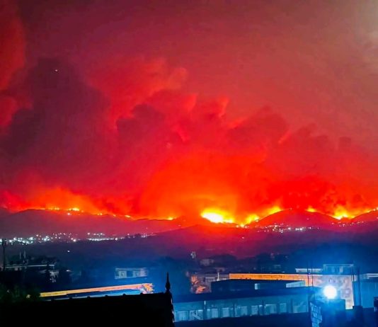 حرائق الغابات في الجزائر تخلّف 12 قتيلاً و54 مصاباً والسلطات تواصل عمليات الإخماد