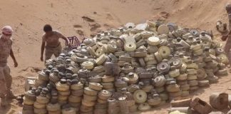 «مسام» ينتزع 1,836 لغماً وذخيرة حوثية خلال أسبوع