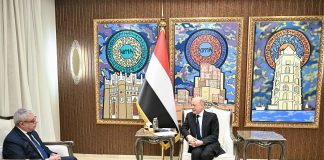 العليمي يشيد بالدعم المصري لليمن ويحذر من تداعيات التصعيد الحوثي قرب باب المندب