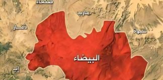 القوات المسلحة تحرر مواقع جديدة وتتقدم باتجاه الناصفة في البيضاء
