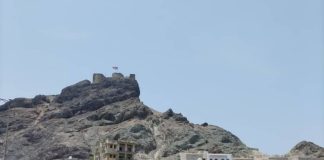 جمعية صيادي خليج صيرة تطالب وزير الزراعة والثروة السمكية برفع إغلاق موسم اصطياد الحبار أو تعميمه على كامل ساحل عدن