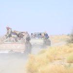 القوات المسلحة تعلن تقدماً ميدانياً في باب المندب وتعز ومأرب ضمن «فجر اليمن»